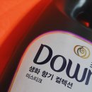 미스티크