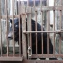 주영농장(4) 이미지