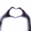 여우사이 이미지