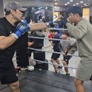 판교스타복싱 이미지