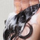 스미다 | 손상모에 좋은 트리센스 스미다 샴푸 후기