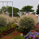 제주블랑 이미지