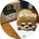 댕댕마을 이미지