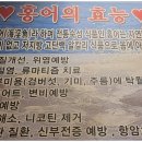 광주상회 이미지