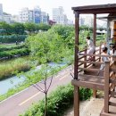 비봉작은도서관 이미지