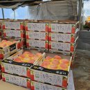 대풍원예 이미지