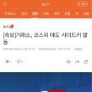 속보) 코스피 매도 사이드카 발동 이미지