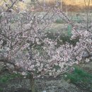 희현농장 이미지