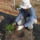 선산농장 이미지