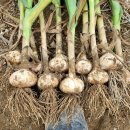 귀동농장 이미지