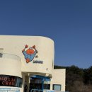 놀자대게 이미지