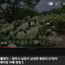 수국정원-청주 프레이밍카페정원 이미지