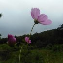 빼뻘버스정류장 이미지