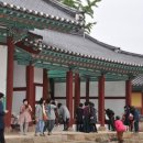 자연애 염색