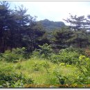 시루봉 급경사길 이미지