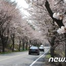 보령-주산-1 이미지