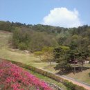 입점리고분전시관 이미지