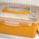 My pet recipe | 반려견 장 건강에 도움 되는 발효 채소를 만들기(소금 활용)