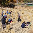 거산1리 이미지