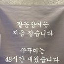 로데오 | 🐟압구정 숯불 꼼장어 맛집🔥 연안숯불 압구정로데오 후기, 가격, 주차