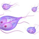 명지 수동물병원 이미지