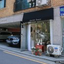 데이올렛 플라워