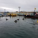 망양스쿠버리조트