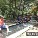 공기마을 편백나무숲