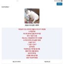 수연레스구이 | 19살 레스게리옹