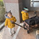 일월관광농원캠핑 이미지