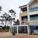 편백향기 이미지