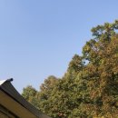 개차반캠핑장 이미지