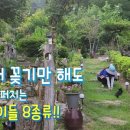 둥이농장 이미지