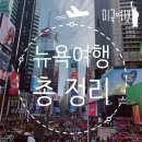 베데스다약국 | [미국/뉴욕여행 총정리] 6박7일 여행경비/간단 후기/뉴욕여행꿀팁/가을 뉴욕여행/9월 뉴욕여행/10...