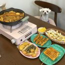 안산펫택시 | 안산본오동맛집 가성비 즉떡 분식집 상록수 애견동반식당