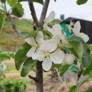 가중농장 이미지