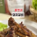 주식회사 용쓰네 이미지