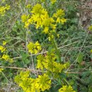 한탄강메기매운탕추어탕 이미지