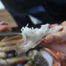 쌍둥이상회 이미지
