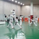 국제고려태권도 이미지