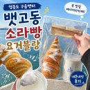 뱃고동 | [영종도 구읍뱃터 베이커리] 카페 뱃고동 소라빵 요거블랑 내돈내산 후기!
