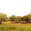 가락로63번길 이미지