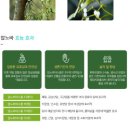 보궁요양병원 이미지