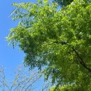 네오존 농장 이미지