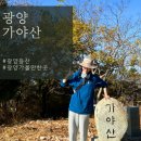 중마고등학교 | 광양 가을 등산 가야산 가는 길 5번 코스 등산 도전