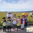 창수초등학교병설유치원 이미지