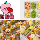 과일욤 이투뉴스
