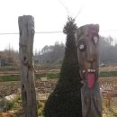 금강솔바람길 이미지