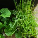 운모농장 이미지