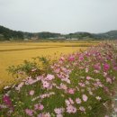 노동3리 이미지